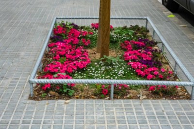 Remodelación de la calle Segarra