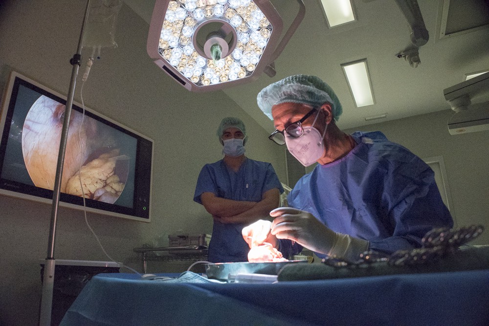Transplante de riñón en el Hospital de Bellvitge