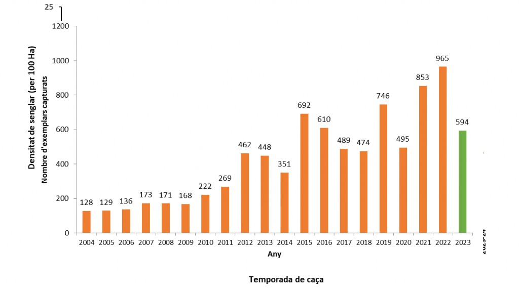 Evolución de las cacerías en Collserola en los últimos años