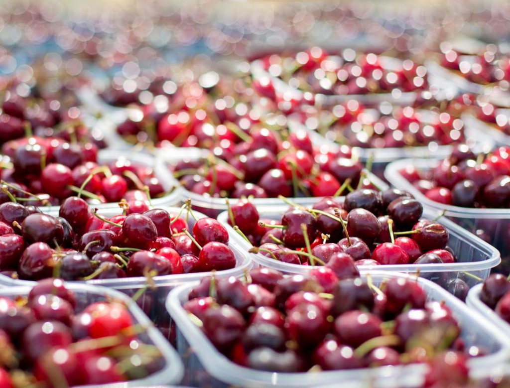 Cerezas del Baix Llobregat