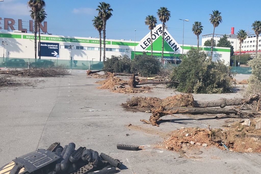 Estado actual del aparcamiento con árboles y bandas rugosas arrancados