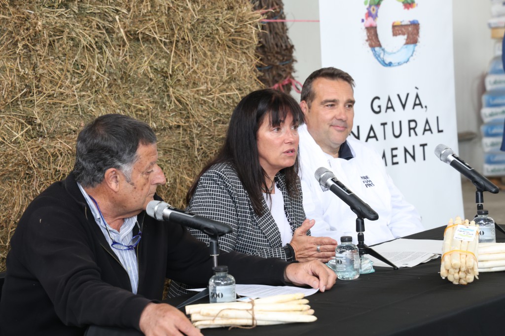 De izquierda a derecha: Josep Pañella, Gemma Badia y Santi Peñarrocha