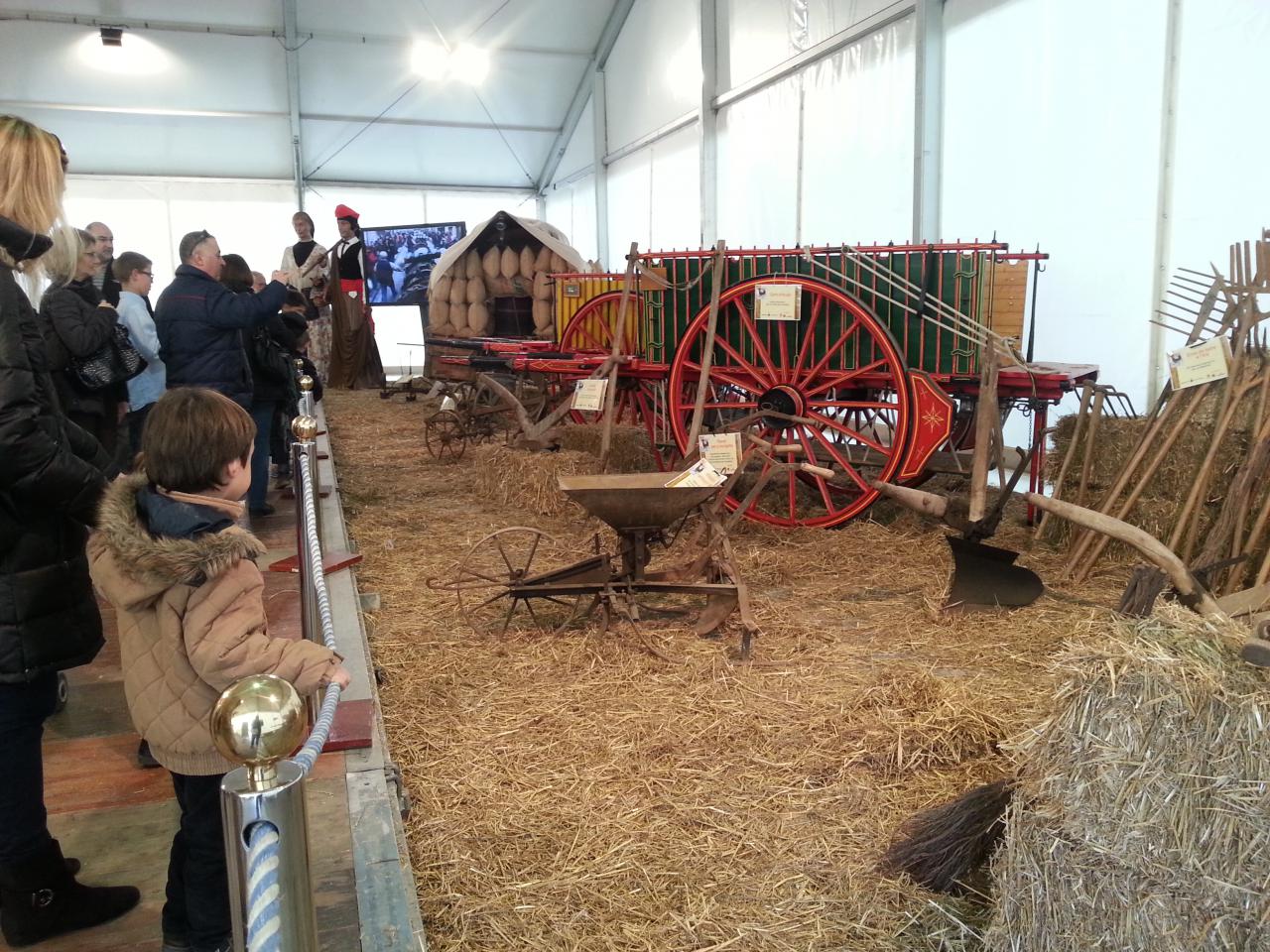 20141213_132104.jpg