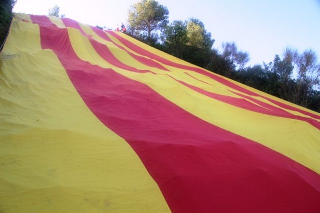 Diada-14-630x420.jpg